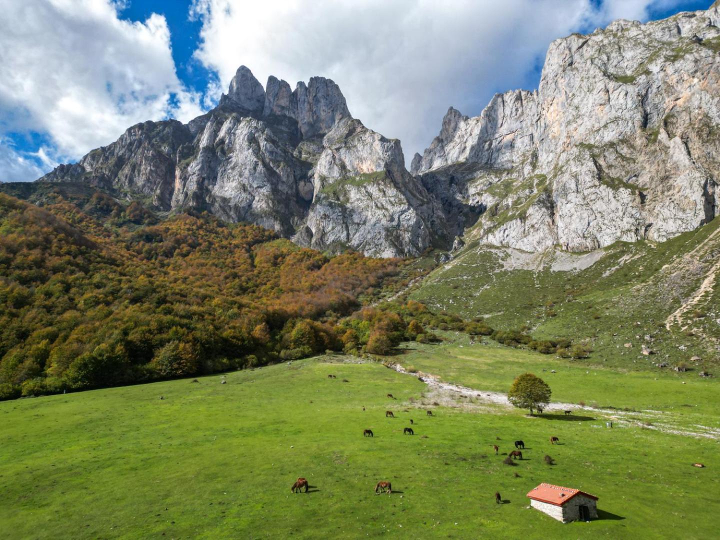 Apartamentos Rio Cubo Cosgaya Εξωτερικό φωτογραφία